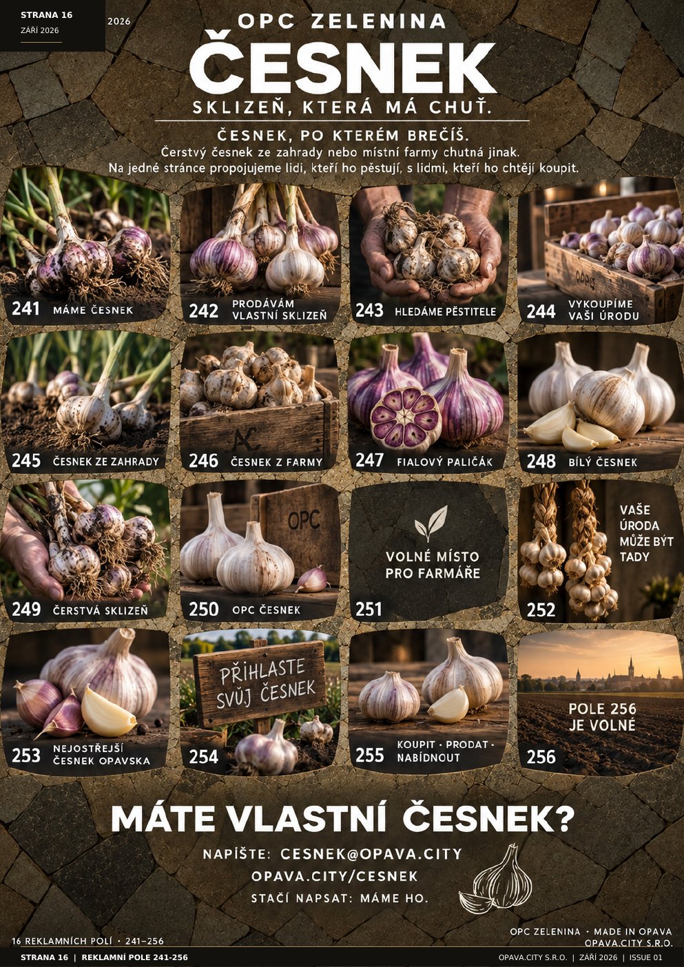 Česnek: silný produkt z lokální půdy
